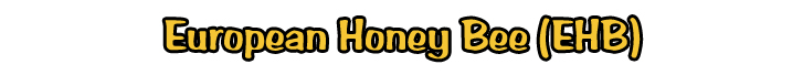 Bumble Bees