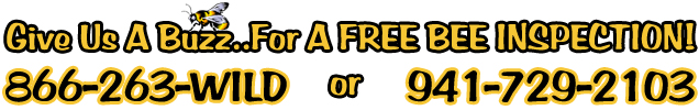 Give Us A Buzz For A Free Be Inspection 866-263-WILD or 941-729-2103