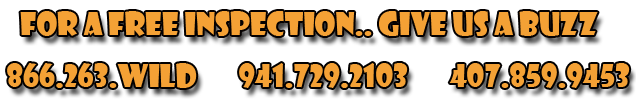 Give Us A Buzz For A Free Be Inspection 866-263-WILD or 941-729-2103